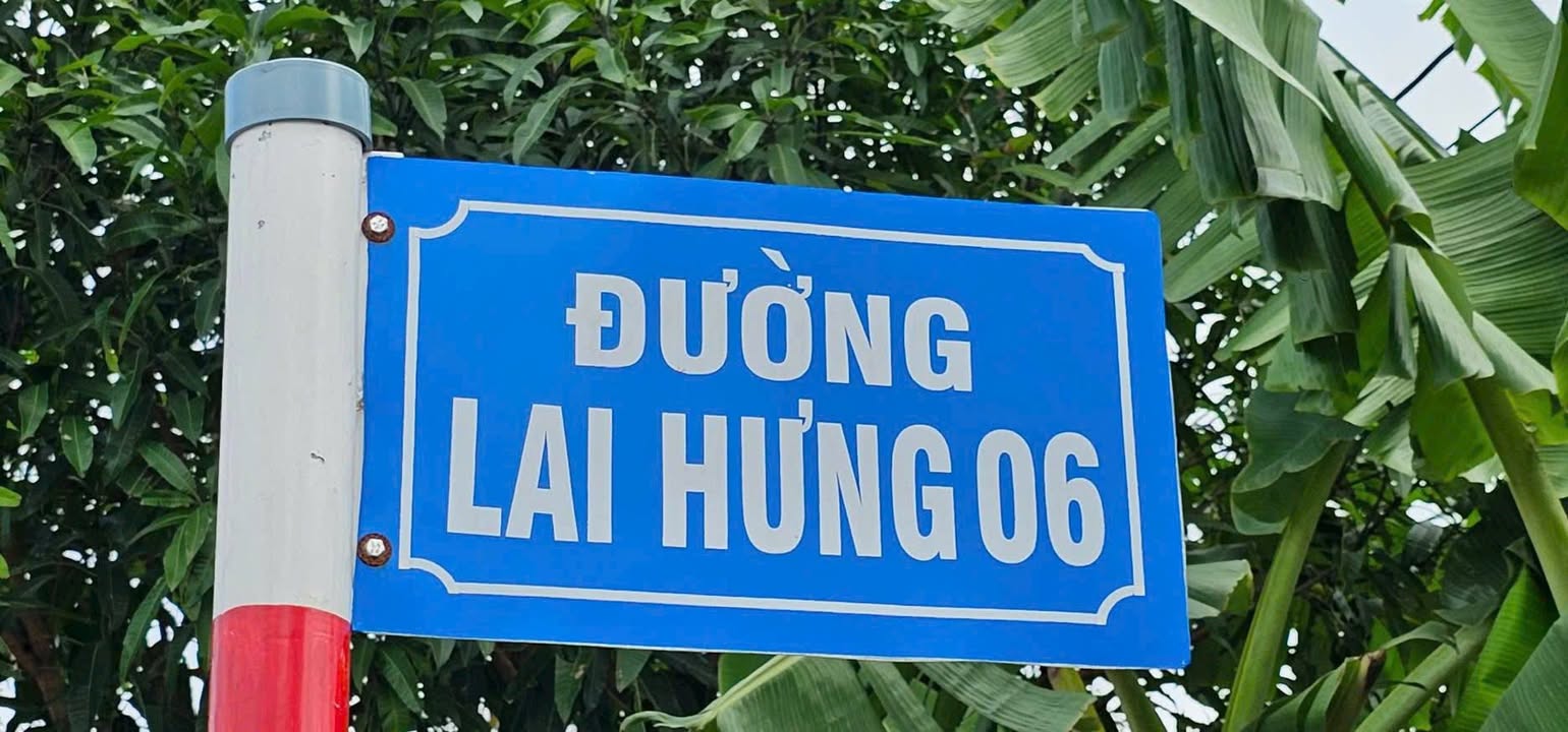 Đất nền Bàu Bàng 1338m² - 11 lô tiềm năng, giá đầu tư 4 tỷ