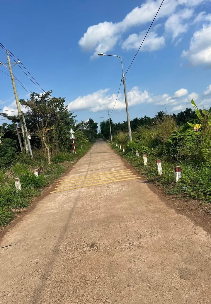 Đất Nền 1300m² Mặt Tiền Đường 72, Cẩm Mỹ, Đồng Nai - Giá Tốt