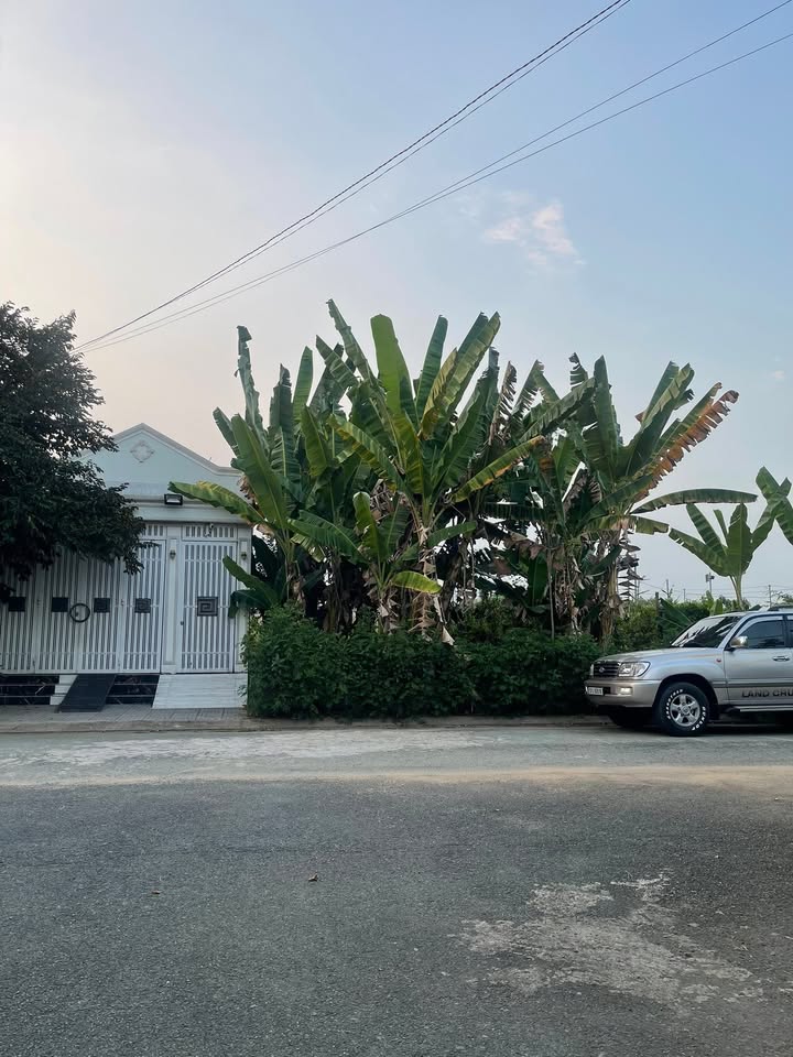 Đất 100m² View Sông Liên Phường - Sổ Đỏ Sẵn Sàng Giao Dịch