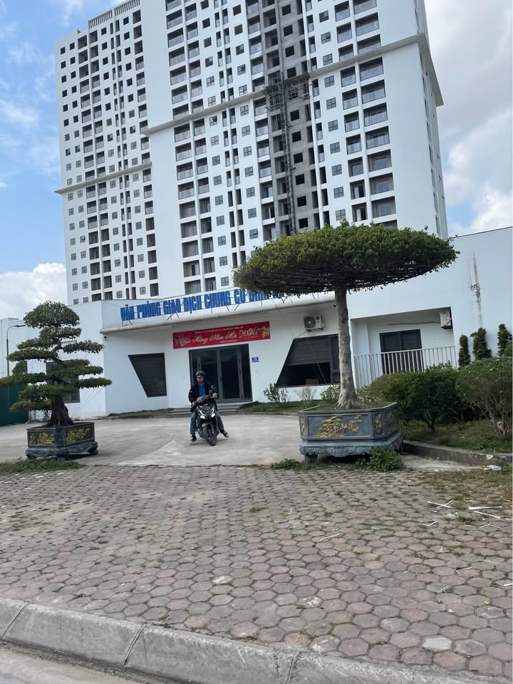 Bán đất mặt tiền 80m² Đỗ Đại, Thanh Hóa - Kinh doanh đắc lợi