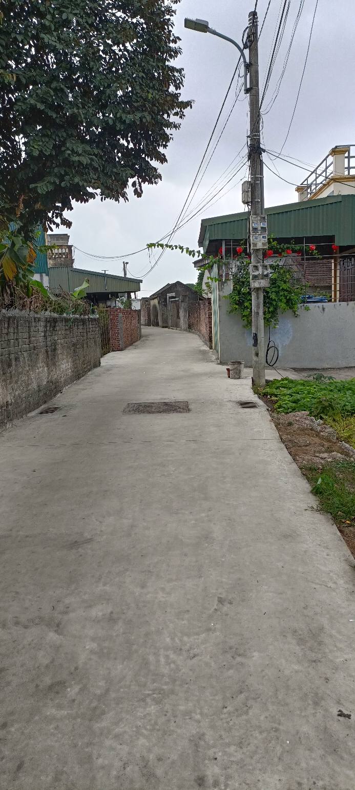 Bán Đất Ninh Phúc, Hoa Lư 87m² - Ngõ Ô Tô, Gần BigC