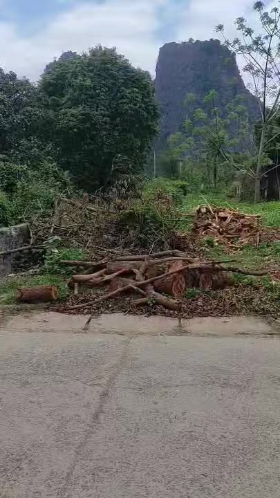 Đất Lô Góc 440m² Thị Trấn Mãn Đức - Kinh Doanh, Làm Xưởng, Kho Bãi