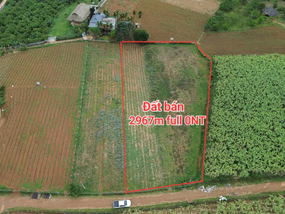 Đất Nền 2964m² Tân Phong, Hòa Bình - Sổ Đỏ Full Thổ Cư, Giá Tốt