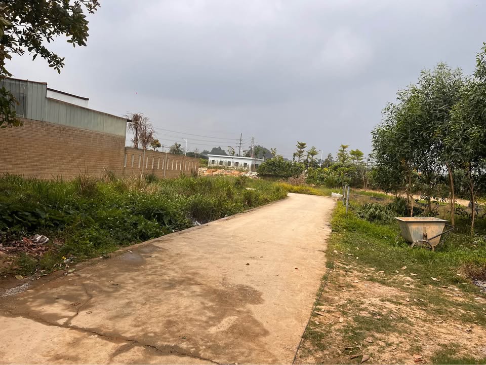 Nhà Chính Chủ 300m² Phổ Yên - Ô Tô Tránh, Sân Rộng 5-6 Xe, Gần Chùa Hang