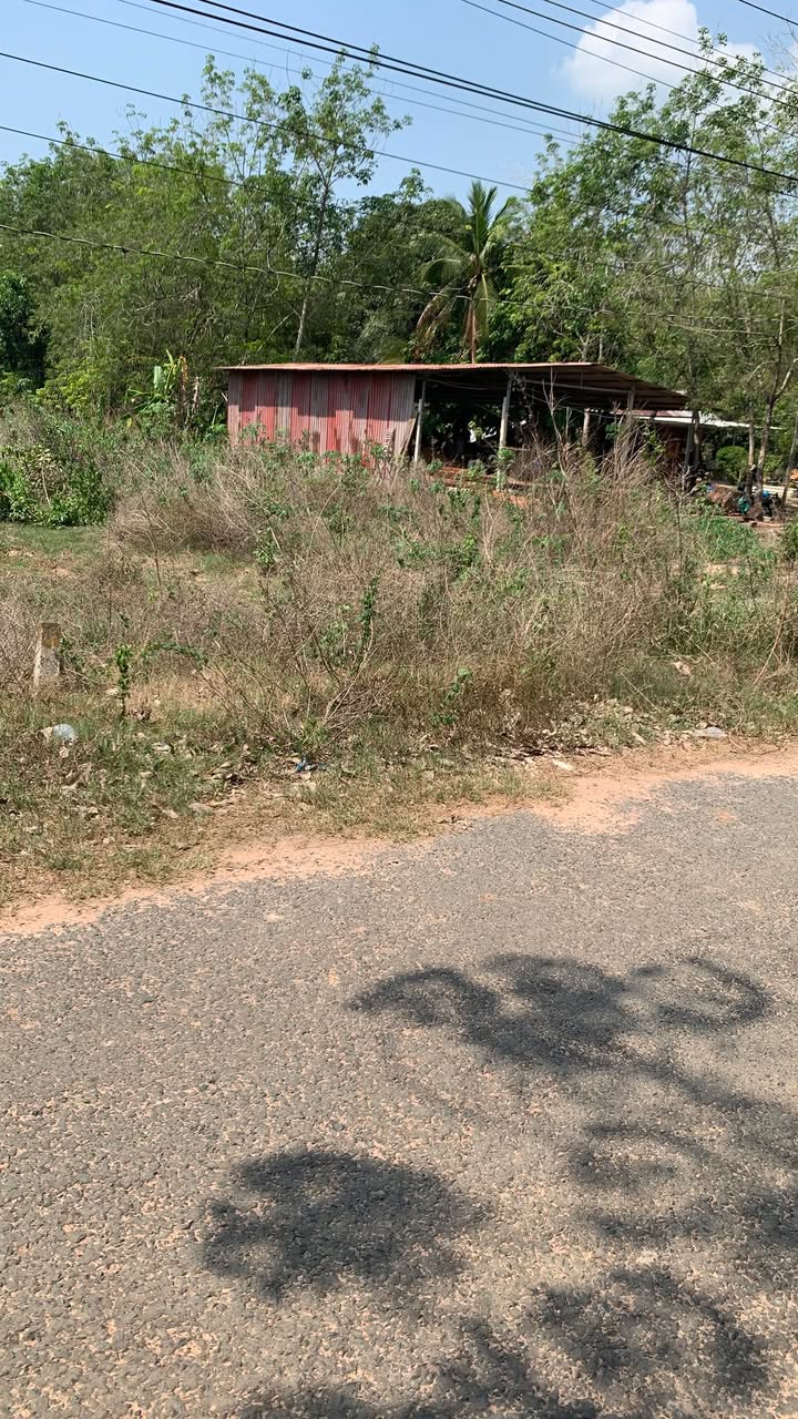 Đất thổ cư Dĩ An 200m² mặt đường nhựa - Giá F0 chỉ 250 triệu