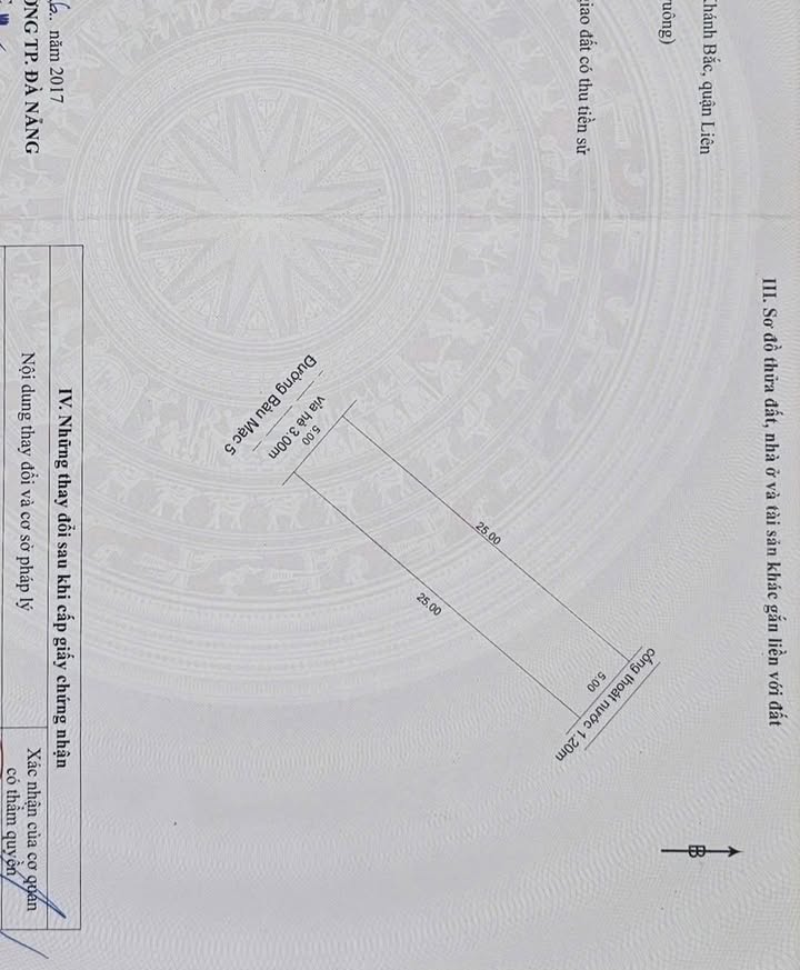 Đất nền Liên Chiểu Đà Nẵng 250m² - Sát Biển Nguyễn Chánh, Tiềm Năng Homestay