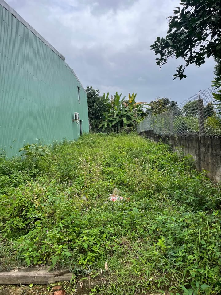 Bán đất 126m² nở hậu, kiệt thông Phạm Như Xương - Tôn Đức Thắng, Đà Nẵng