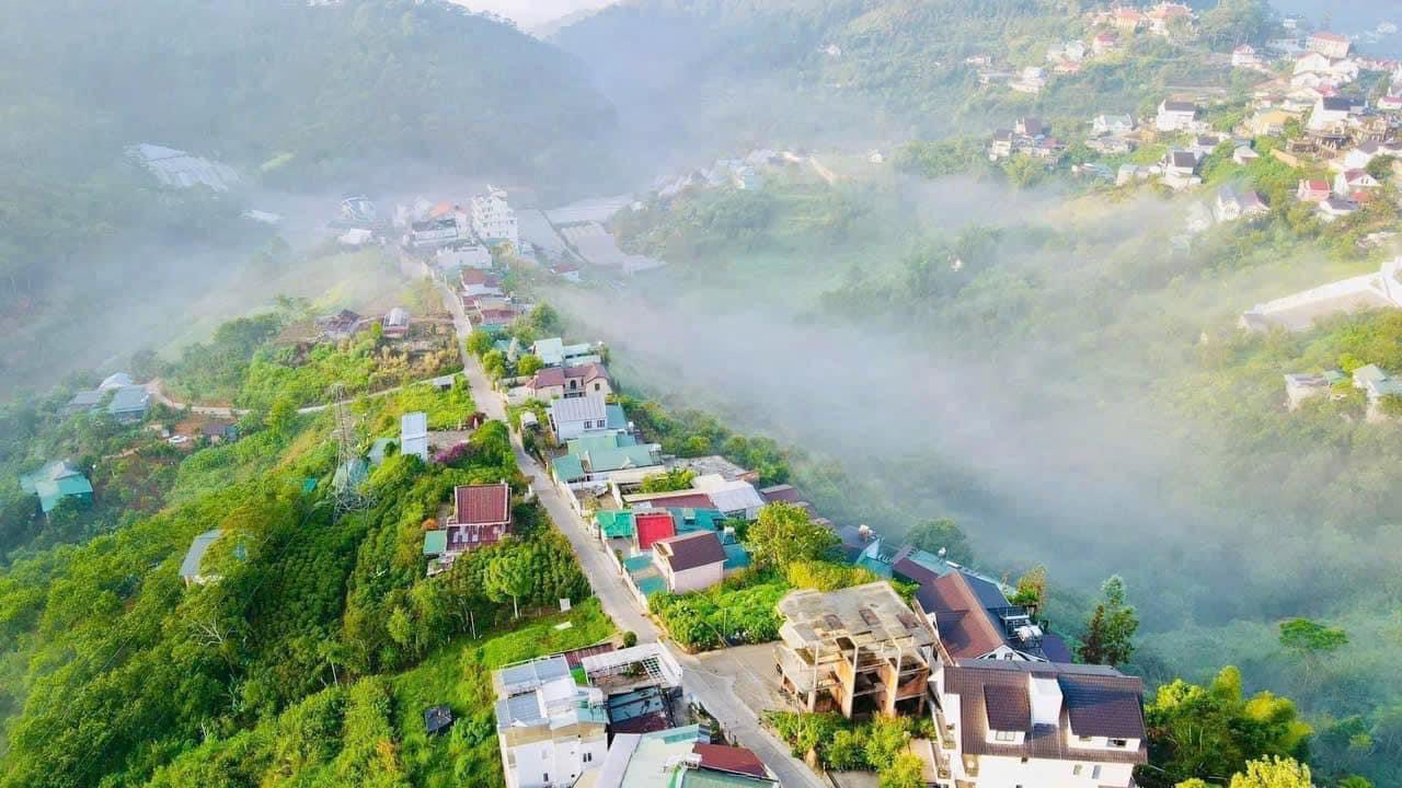 Đất Nền Đà Lạt 250m² Mặt Tiền Hoàng Hoa Thám - View Thông, Sẵn Sổ Hồng