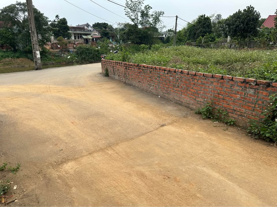 Đất Vườn 196m² Sổ Đỏ Sẵn Sàng Tại Phú Cát, Quốc Oai - Đầu Tư Sinh Lời