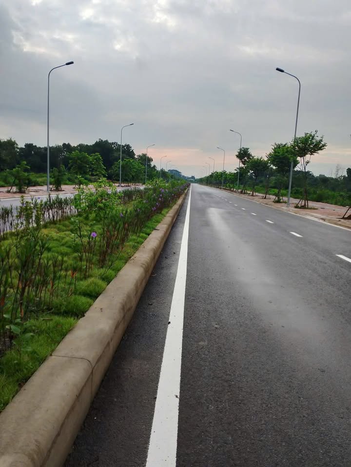 Đất nền mặt tiền 32m KCN Nhuận Trạch, Lương Sơn - 383m² sổ hồng, giá đầu tư