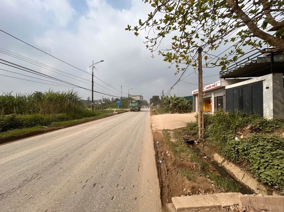 Đất nền 100m² mặt tiền đường 315B, Việt Trì - Sổ hồng sẵn sang tên