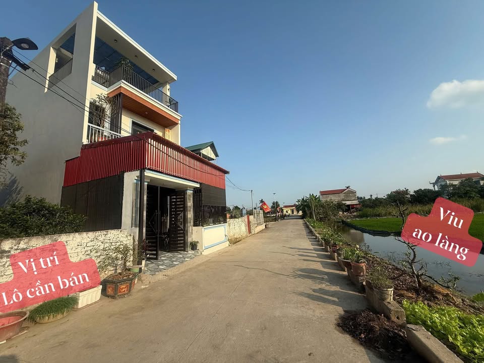 Bán Đất Xã Đại Hoàng, Gia Viễn 115m² - Đường Thông, Giá 1.1 Tỷ