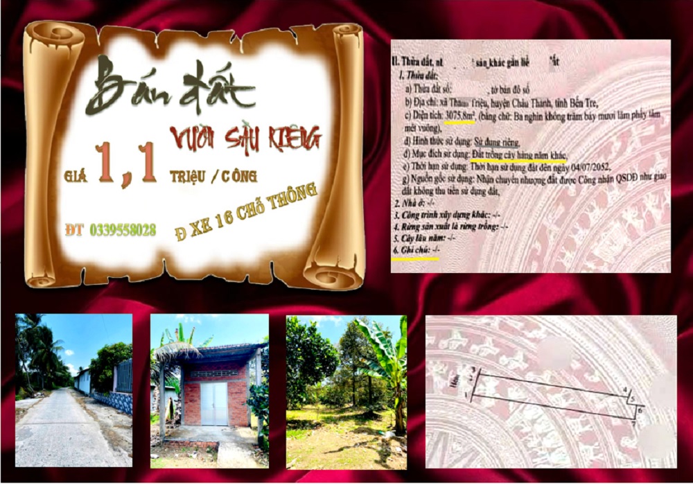 Bán Đất Vườn Sầu Riêng 3076m² Châu Thành, Bến Tre - Giá 3.4 Tỷ