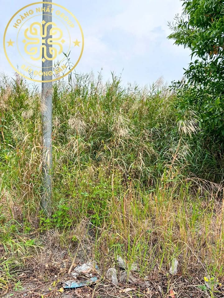 Đất Nền Happy Home Cà Mau 125m² - Sẵn Sàng Xây Dựng, Giá 1 Tỷ