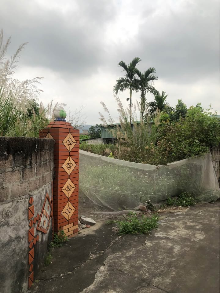 Đất Nền Đông Triều 245m² - Sổ Đỏ Chính Chủ, Chia 2 Lô, Giá Chỉ Từ 7xx Triệu