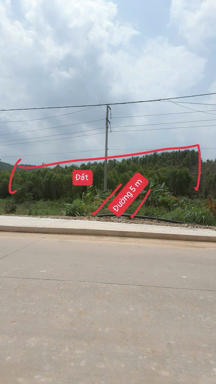 Bán đất TCLN 1936m² An Sinh, Đông Triều - Giá chỉ hơn 400 triệu