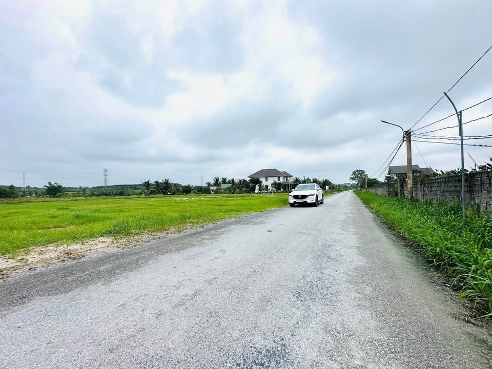 Đất nền Thôn 7 Lý Trạch - Mặt tiền 11m, 132m², Giá tốt