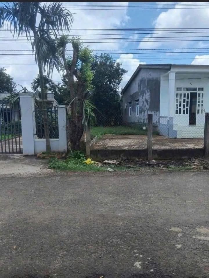 Bán Đất Mặt Tiền Đường 14A, Cư Kuin, Đắk Lắk - 220m² Giá Đầu Tư