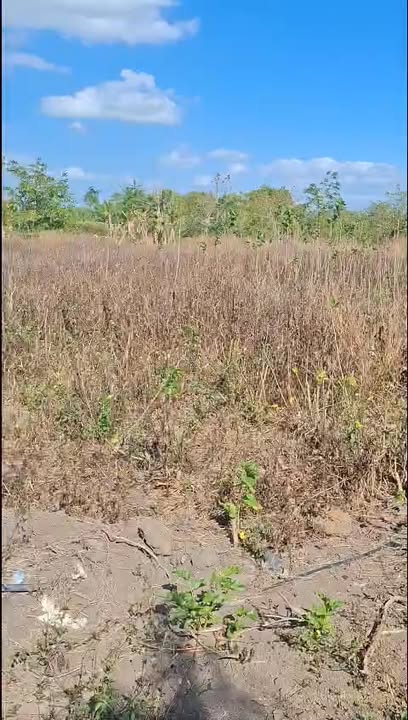 Bán Gấp 3600m² Đất NN Thôn 7 Ea BHốk, Đắk Lắk - Giá Đầu Tư 1.26 Tỷ