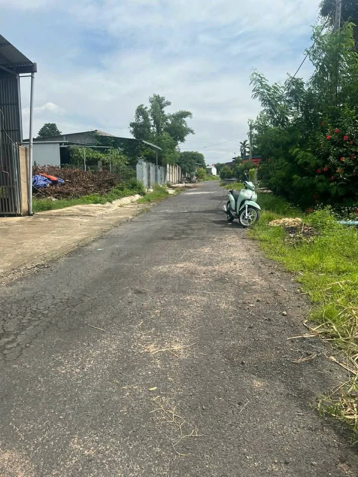 Đất 2 Mặt Tiền Lê Hồng Phong, Krông Bông - 390m² Sổ Hồng Sẵn Sàng