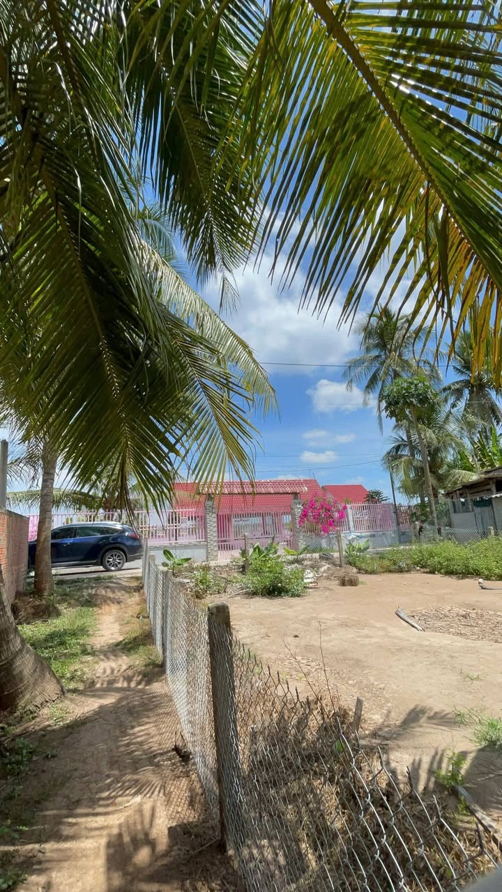 Đất Nền 300m² View Sông Tân Phú Đông, Tiền Giang - Giá 350 Triệu