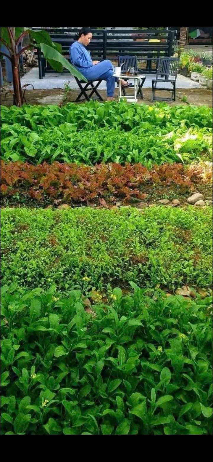 Đất nền Diên Khánh 700m² - Sổ đỏ chính chủ, giá đầu tư 2.5 tỷ