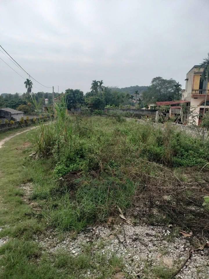 Đất Vàng Chí Linh - 304m² Hai Mặt Tiền Kinh Doanh, Giá 1.X Tỷ