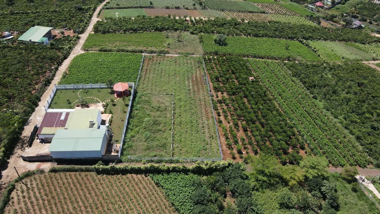 Đất Nền 2000m² TP Bảo Lộc - View Thoáng, Sổ Hồng Thổ Cư Giá Tốt