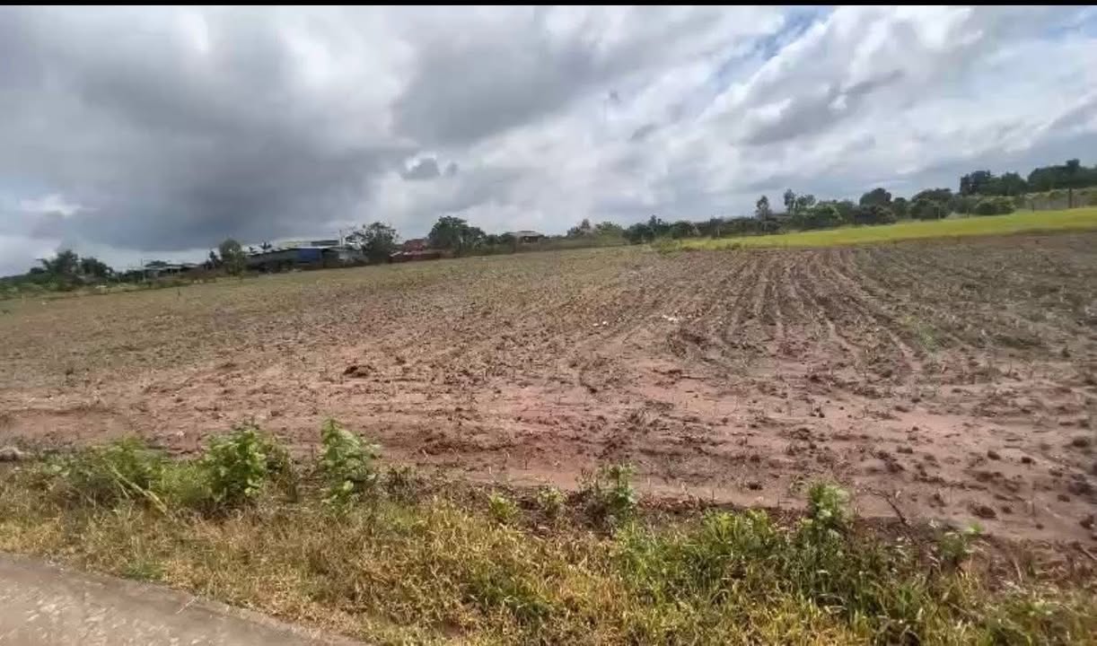 Đất Vụ Bổn Đắk Lắk 9800m² - Mặt Tiền Rộng, Sổ Sẵn, Đầu Tư Sinh Lời