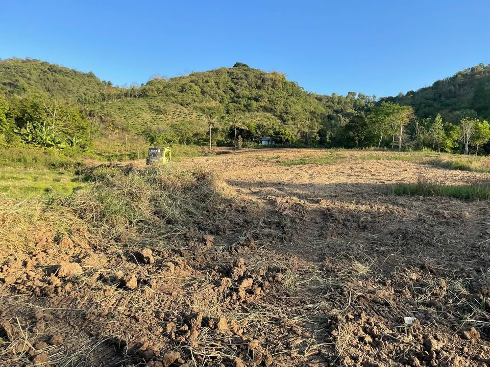 Bán Gấp Đất Farm 15.000m² Phường Ea Kao, Buôn Ma Thuột - Sẵn Sàng Trồng Cafe