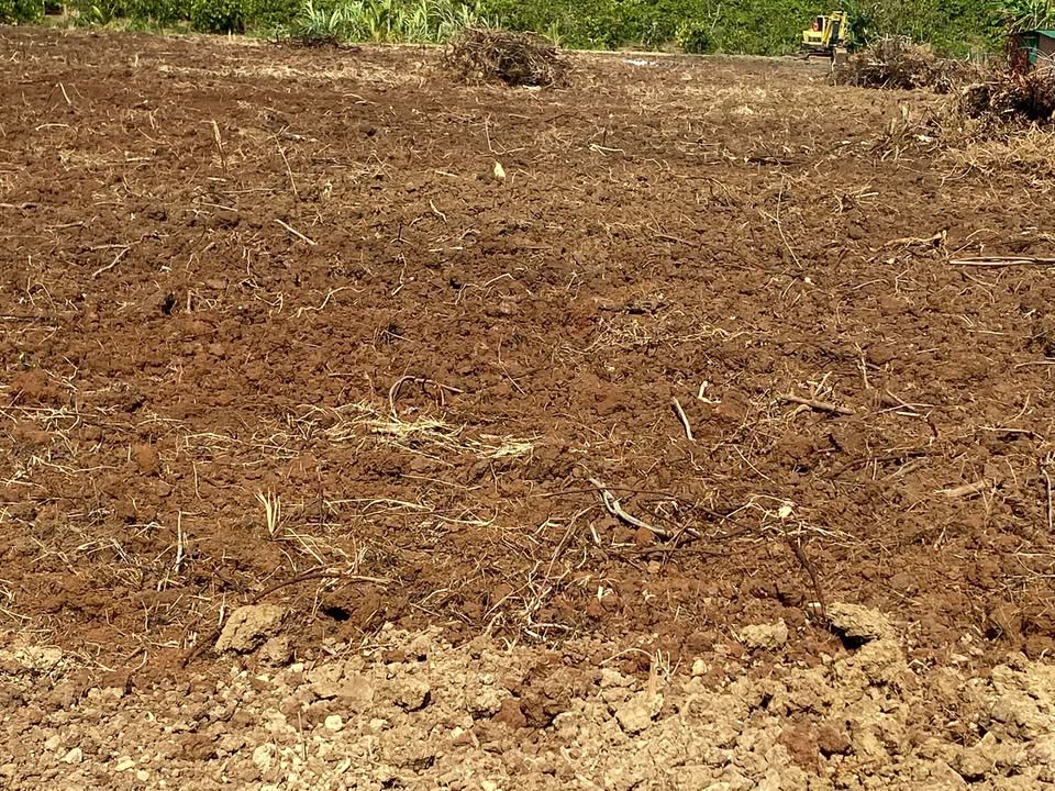 Đất Vàng 1.2ha Mặt Tiền Vành Đai Đập Ea Lêu, Đắk Lắk - 120 Tỷ