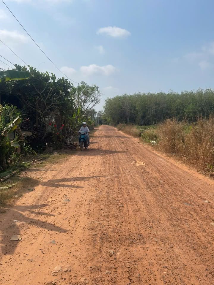 Đất Vườn 5300m² Xã Long Chữ, Bến Cầu - Sổ Hồng Thổ Cư, Giá 59 Tỷ