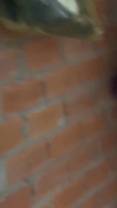 Bán Gấp Đất Tặng Nhà Cấp 4 KP Lộc Trát, Trảng Bàng, Tây Ninh - 239m² Giá Tốt