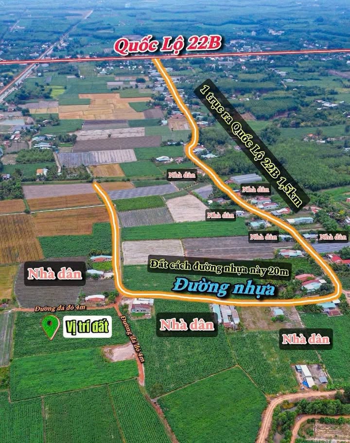 Đất Nền Sổ Hồng Sẵn 175m² - Tân Phong, Tân Biên, Tây Ninh - Giá 175 Triệu