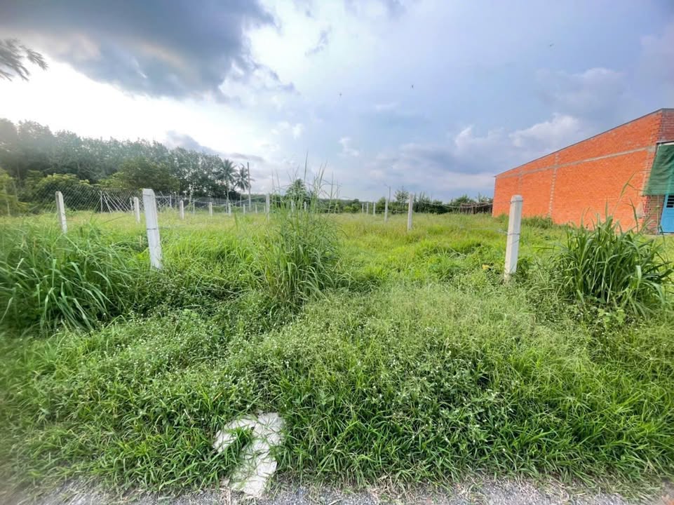 Bán đất full thổ cư 125m² tại Hòa Thành, Tây Ninh - Giá 390 triệu