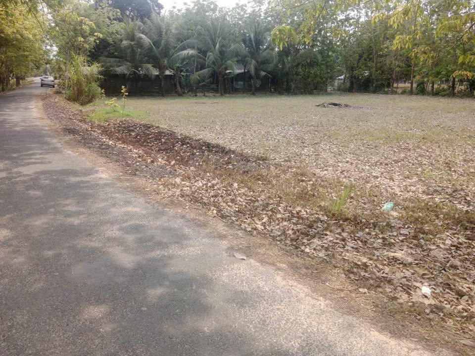 Bán Đất Vàng 720m² Xã Hòa Hội, Châu Thành - Mặt Tiền Đường Nhựa, Giá Tốt