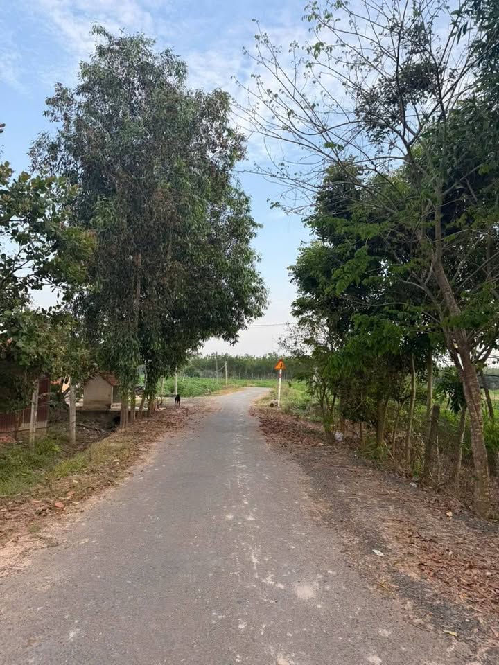 Đất Vàng Mặt Tiền Nhựa Thạnh Trung, Tân Biên, Tây Ninh - 6800m² Sẵn Sổ Hồng