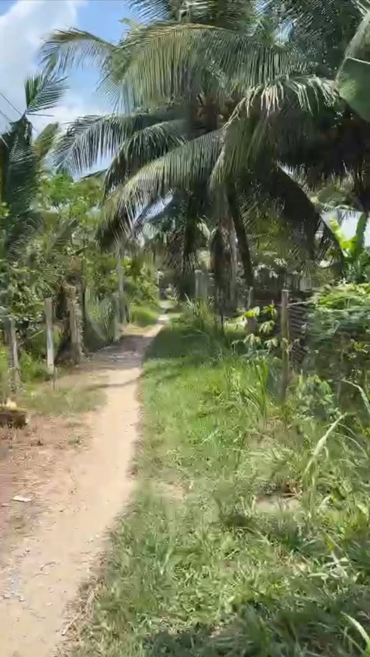 Bán Nền Đất 268.3m² Vĩnh Long - Sẵn Sàng Xây Dựng, Giá 600 Triệu