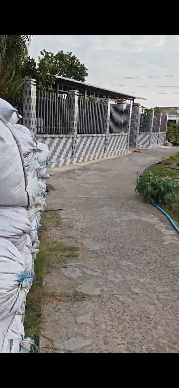 Đất nền F0 Tân Đông, Tiền Giang - 250m² - Sổ đỏ sẵn sàng giao dịch