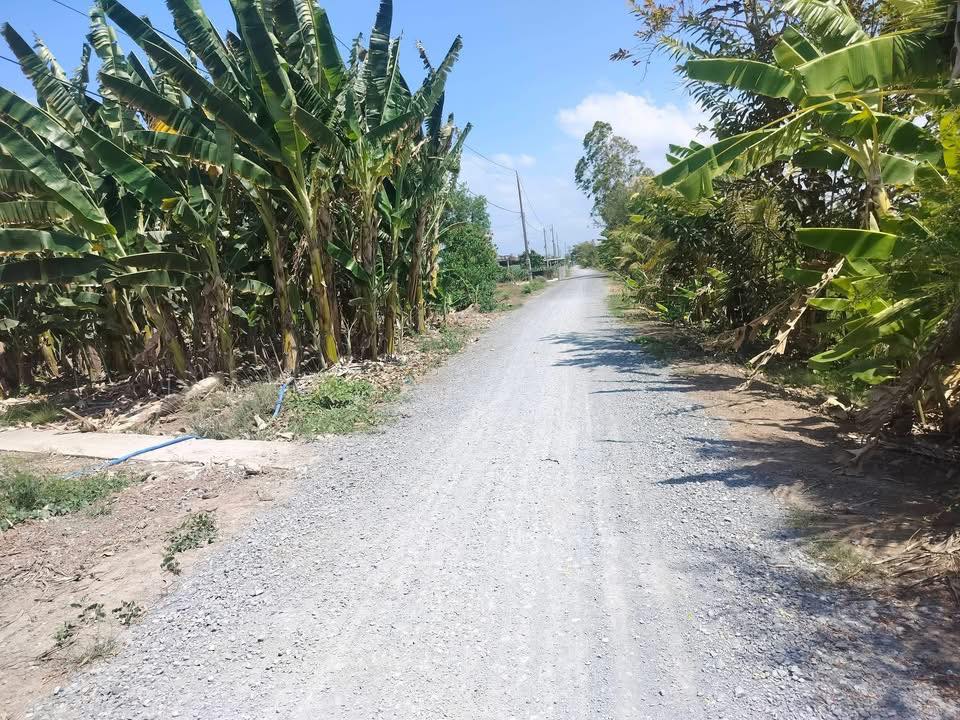 Đất Vườn Kiểng Phước Gò Công Đông 2450m² - Giá 1.9 Tỷ Thương Lượng