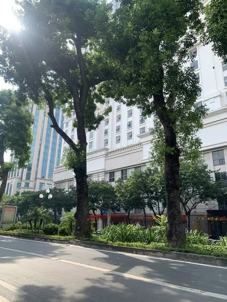 Nhà Phố Cát Linh 26m² 4 Tầng - Sổ Đỏ Riêng Chính Chủ