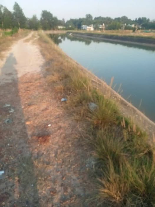 Đất Vườn Long An 10.000m² Mặt Tiền Kênh - Giá Đầu Tư 160 Triệu