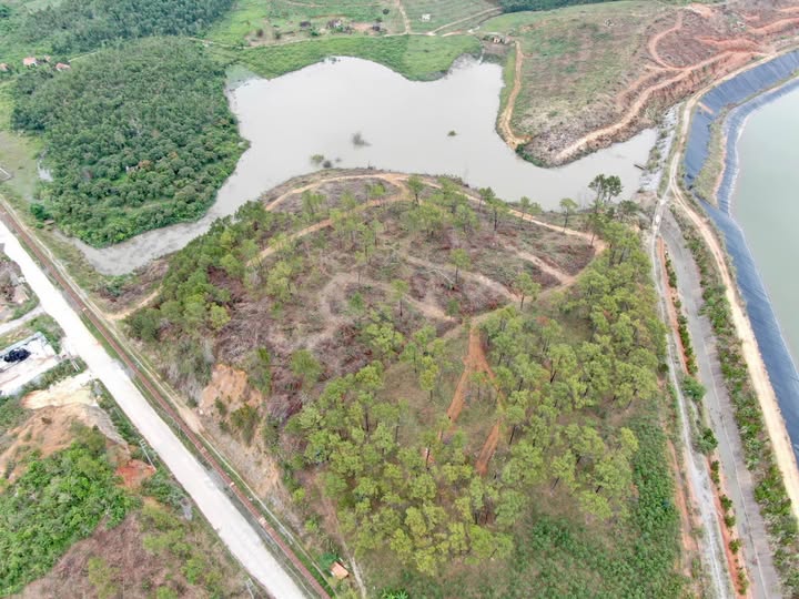 Đất nền nghỉ dưỡng Hoành Bồ 20.000m² view hồ, rừng thông - Đầu tư farmstay lý tưởng