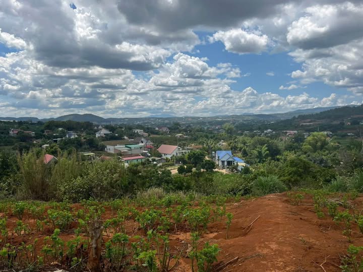 Đất Nền Nam Ban 200m² - Sổ Đỏ Sẵn Sàng, Giá F0 Chỉ 600 Triệu