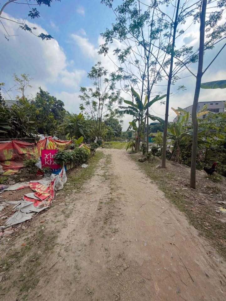 Bán đất Lạc Long Quân Việt Trì 72m² - Ngay Cổng Ga, Giá Dưới 2 Tỷ