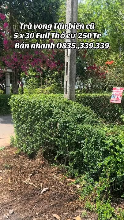 Đất nền 150m² Tân Bình, Tây Ninh - Giá 250 Triệu, Sổ Hồng Thổ Cư Full