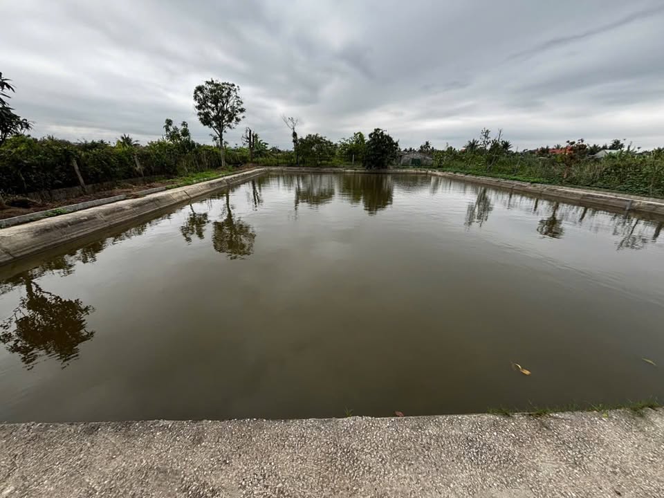 Bán Nhà Vườn 1350m² Tại Đồ Sơn - Vườn Rau, Ao Cá, Sẵn Sàng Về Ở Ngay