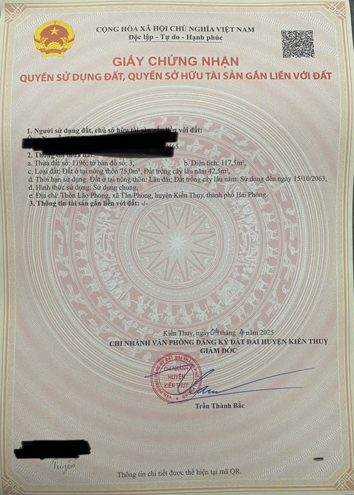 Đất Mặt Đường HL 401 Kiến Thụy - 117.5m² Kinh Doanh Đắc Lợi