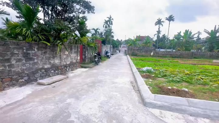 Đất nền Liên Khê 61m² - Sổ đỏ riêng, giá dưới 600 triệu