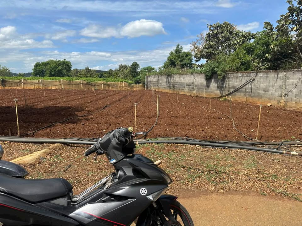 Đất nền Đức Trọng 252m² (14.5m ngang) - Giá 1.6 Tỷ, Sổ Đỏ Đô Thị